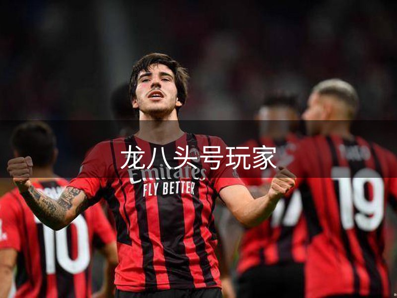关于本站